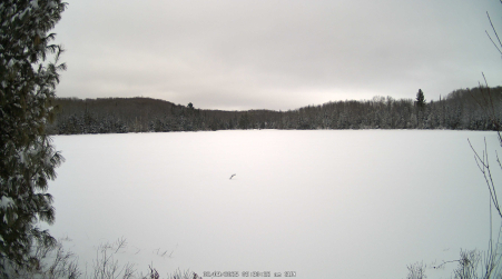 Image from 2025-02-09