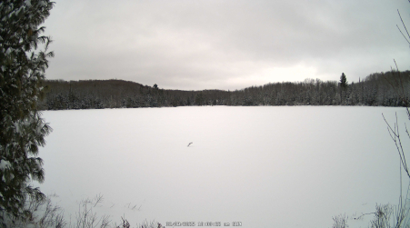 Image from 2025-02-09