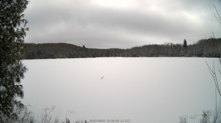 Image from 2025-02-09