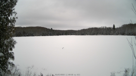 Image from 2025-02-09