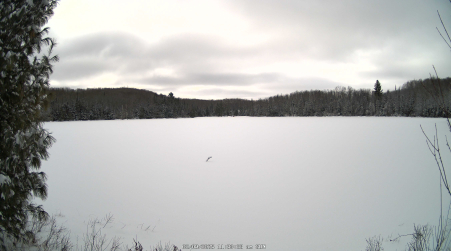 Image from 2025-02-09