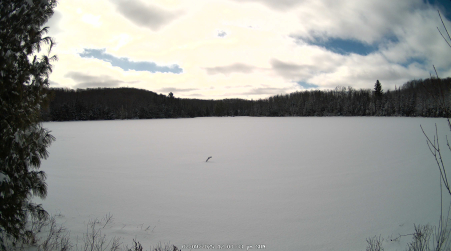 Image from 2025-02-09