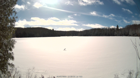 Image from 2025-02-09