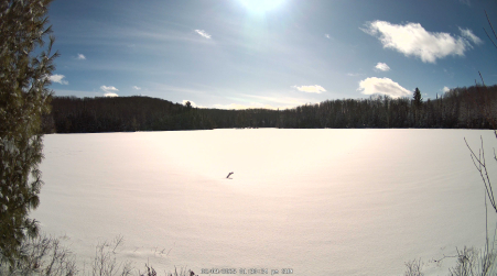 Image from 2025-02-09