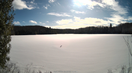 Image from 2025-02-09