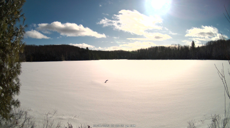 Image from 2025-02-09