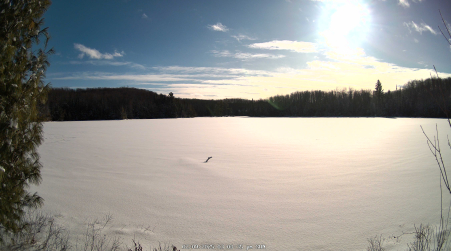 Image from 2025-02-09