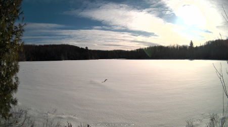Image from 2025-02-09