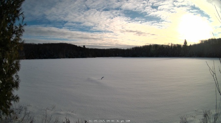 Image from 2025-02-09