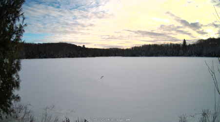 Image from 2025-02-09