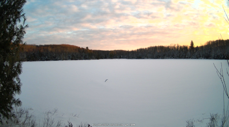 Image from 2025-02-09