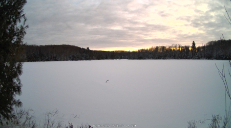 Image from 2025-02-09