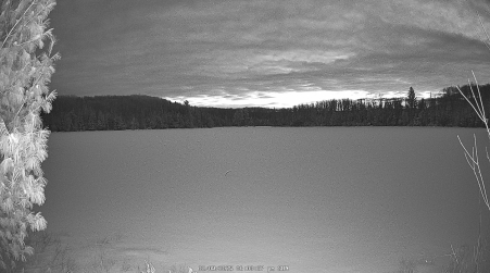 Image from 2025-02-09