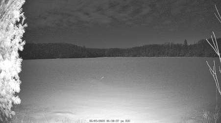 Image from 2025-02-09