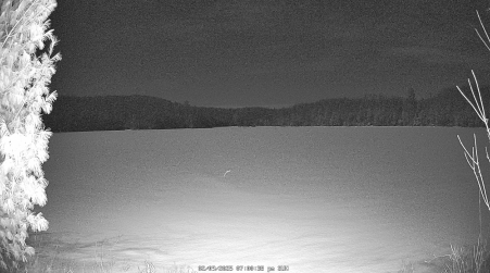 Image from 2025-02-09