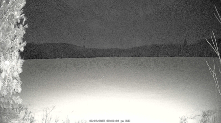 Image from 2025-02-09