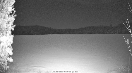 Image from 2025-02-09