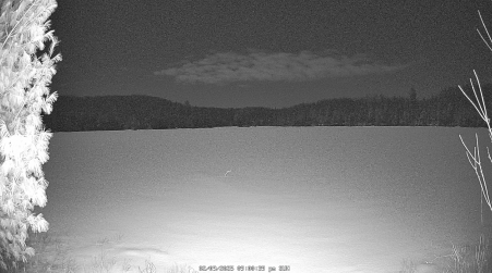 Image from 2025-02-09