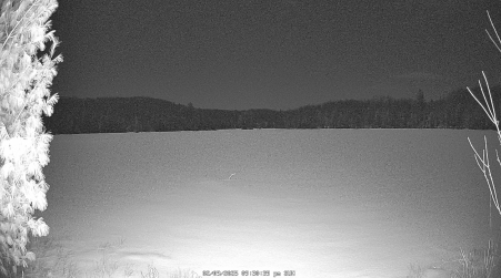 Image from 2025-02-09