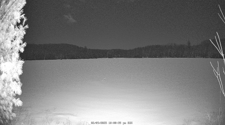 Image from 2025-02-09