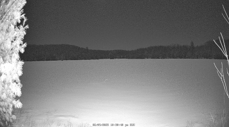 Image from 2025-02-09