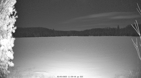 Image from 2025-02-09