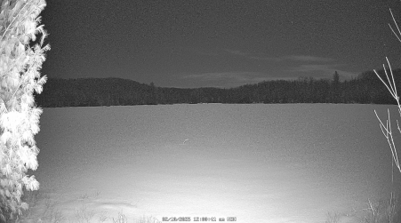 Image from 2025-02-10