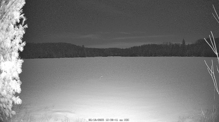 Image from 2025-02-10