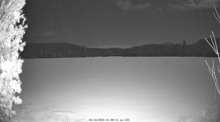 Image from 2025-02-10