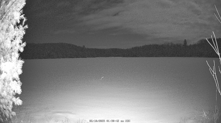 Image from 2025-02-10