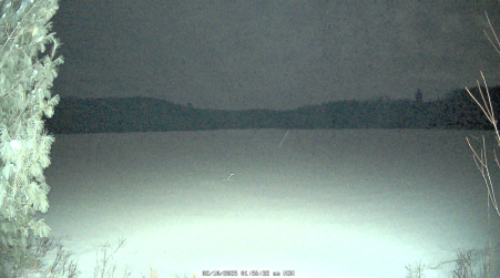 Image from 2025-02-10