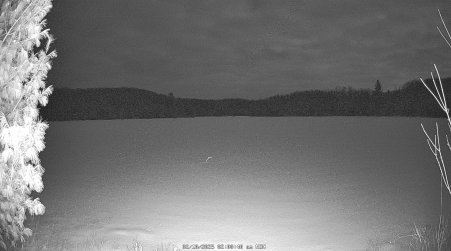 Image from 2025-02-10