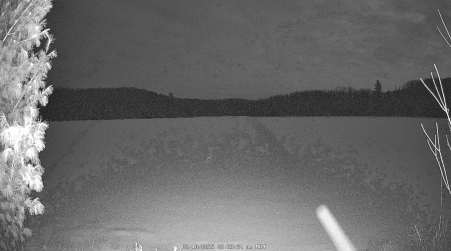 Image from 2025-02-10