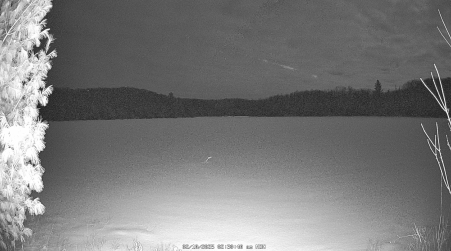 Image from 2025-02-10