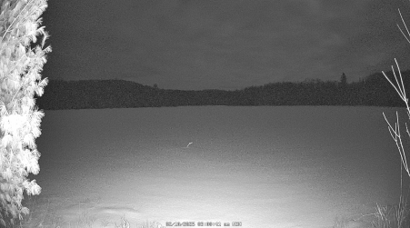 Image from 2025-02-10
