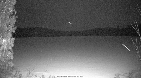 Image from 2025-02-10
