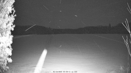 Image from 2025-02-10