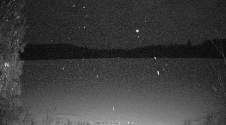 Image from 2025-02-10