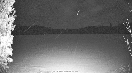 Image from 2025-02-10