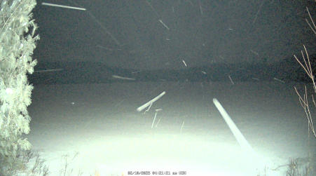 Image from 2025-02-10