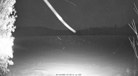 Image from 2025-02-10