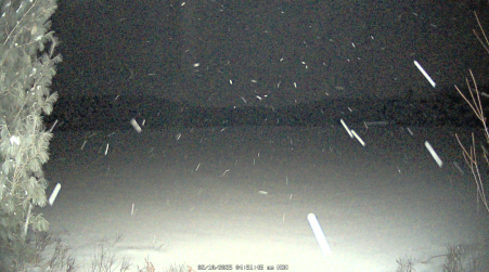 Image from 2025-02-10