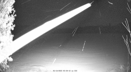 Image from 2025-02-10