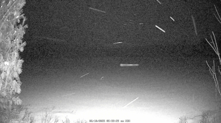 Image from 2025-02-10