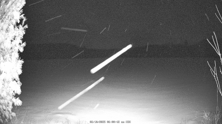 Image from 2025-02-10