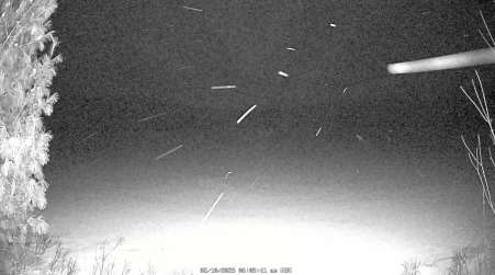 Image from 2025-02-10