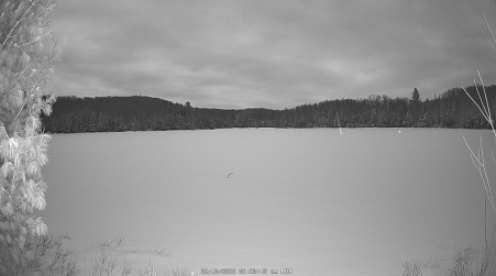 Image from 2025-02-10