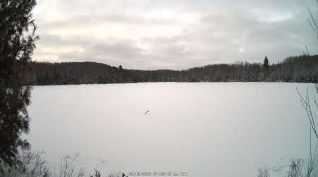 Image from 2025-02-10