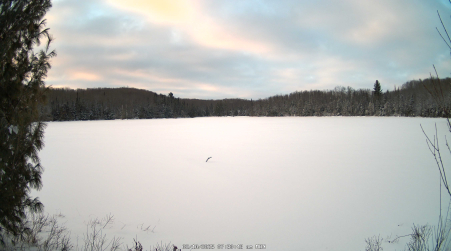Image from 2025-02-10