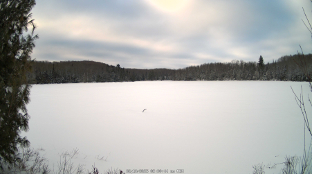 Image from 2025-02-10